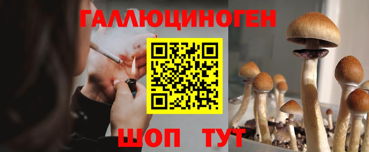 Псилоцибиновые грибы Cubensis  Вход с VPN  Галлюциногенные грибы MAGIC MUSHROOMS  наркотики  Лангепас 